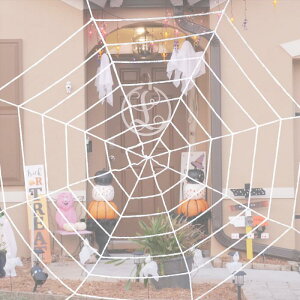 M METERXITY 2pbN w偂̑fR[V 11.8ft/3.6m zCgEhlbgRuEFu O뉀pnEBfR[V nEBfR[Vw偂̑