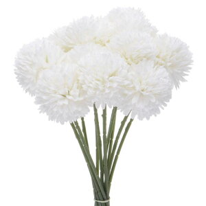 M METERXITY 12pbN lHLN{[ 11" tFCNAWTCVNu[P A^b` tFCNt[ ƒ//NX}X/p[eB[/K[fItBXp[N[zCg]