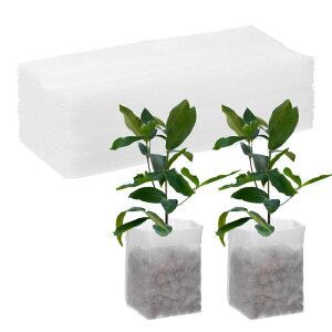 M METERXITY 100pbN̂Ȃ 7.9" x 7.1 "̕sDzAȂ  q̔/ÿڐA/ƒpK[fpi[zCg]