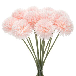 M METERXITY 12pbN lHLN{[ 11" tFCNAWTCVNu[P A^b` tFCNt[ ƒ//NX}X/p[eB[/K[fItBXp[VpsN]