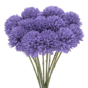 M METERXITY 12pbN lHLN{[ 11" tFCNAWTCVNu[P A^b` tFCNt[ ƒ//NX}X/p[eB[/K[fItBXp[p[v]