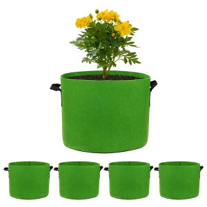 M METERXITY 5pbN vgO[obO 5K O[obO 300G  n|bg ϋv nht A  |bg ʕ///Ap []