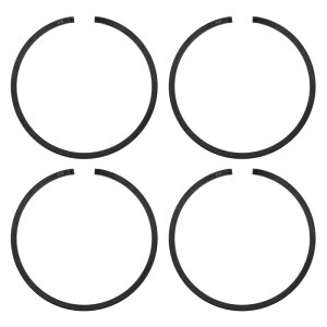 M METERXITY 4 pbN sXg O Zbg 36.5mm x 1.5mm WsXg O sXg O d\[p `F[\[i []