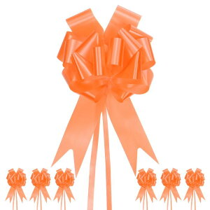 M METERXITY 20pbN ^v{E 10" 25cm vX`bNt[{v{E {{E MtgbsO/EFfBO/oXPbgfR[Vp Tev{E [IWMtg{