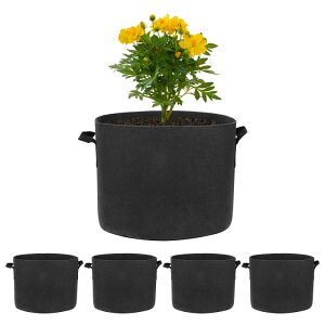 M METERXITY 5pbN vgO[obO 5K O[obO 300G  n|bg ϋv nht AK[f|bg ʕ///Ap []