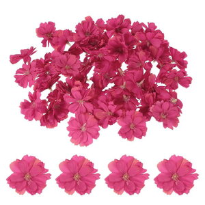 PATIKIL 100 UVN  1.6" lH Uԓ DIYNtgEFfBOp[eB[z[[Xp [Ybh