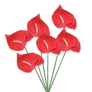 PATIKIL 13" lHAXE[̉ 6Zbg ivԃt[AWgu[P z[fR[V EFfBO Ղ p[eB[p ԐF