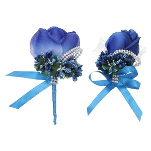 PATIKIL ỏԂ̃XgRT[Wƃu[gjAZbg lHỏԉł̃XgRT[Wu[gjAԉŃRT[W EFfBOp[eB[Tp̖Xq s lCr[u[