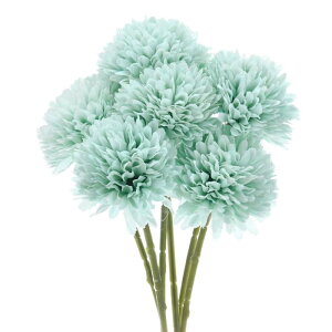 M METERXITY 6pbN lHLN{[ 11" tFCNAWTCVNu[P A^b` tFCNt[ ƒ//NX}X/p[eB[/K[fItBXp[XJCu[]