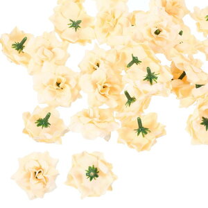 PATIKIL 1.77C` lHo   100 U  EFfBOtFCNt[EH[DIYNtgu C_V[u[Pz[nEX[~OfR[V x[W