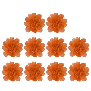 PATIKIL 2" VtHt[ 10 bVnt[ |pAbvP wbhoh DIYNtg EFfBOfR[V IW