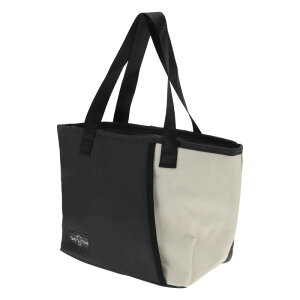 CAPASTEC `obO ۉۗ ėp\ e ϋvItBXEdEsNjbNp 22.5x14x21cm 1 ubN x[W