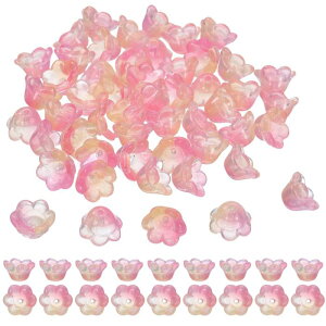 ΍p100̃KXt[r[YA[Yr[YACG[/sN