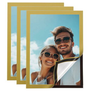 3 CTCz_[ 8" x 11.5" ȔSCǌfz_[ Cʐ^t[ hLgz_[ z[ItB XǑfBXvCp F