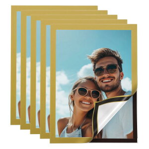 5 CTCz_[ 8" x 11.5" ȔSCǌfz_[ Cʐ^t[ hLgz_[ z[ItB XǑfBXvCp F