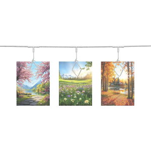 2 X`[Ǌ|tHgfBXvCP[uC[bh 24 H`Nbvt 5Ft|Gt[R[WǃfR[V ʐ^m[g|XgJ[hA[gVo[