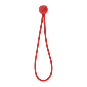 INFINAUTO eŒ胍[v{[egR[h23cmI[goCg[[gbNݕ\ȃoW[R[hobNt1