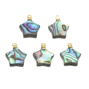 PATIKIL アワビシェルチャ ーム 5個星パウアシェルペンダント15mmシーアワビシェルネックレスDIYオーシャン宝石メイキング用装飾 ミックスカラー