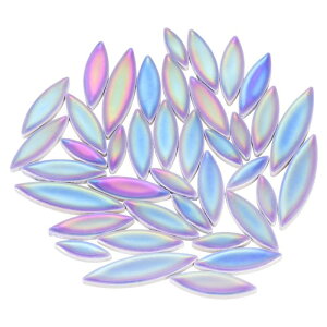 Z~bNUCN^C 500g̗ܓHԗt^CUCNubN A[gNtgуz[fR[Vp CfZgu[