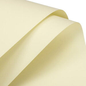 19�ԕ��22.8x22.8" �h���ԉ���� �ԑ��p�i DIY�N���t�g �M�t�g/�M�t�g�{�b�N�X� ���C�g�C�G���[