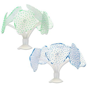 CAPASTEC lHTSI[igAzՕt̏_炩VR̐pTSAp̌uTSfR[V u[ 2Zbg