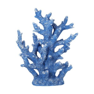 CAPASTEC lHTSfR[VApTSiATSI[igATSz[fR[VA7.48"x2.36"x9.45"Au[