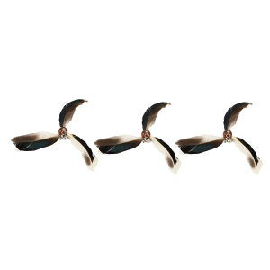 CAPASTEC LI` L炵 3Zbg H pI`t ^sƃXgX HPi [i ւ̉Ht zCguE