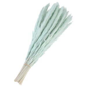 60 tFCNppXOX 17"/43cm ԃp[eB[EH[ԕrEFfBOptFCNppXOX I[Vu[