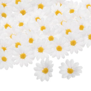 100̐lHfCW[̉Ԃ̃wbh 1.6"̃VNtFCNfCW[̃wbh ~jfCW[̐lHԂ̑ʔ̔ DIYEFfBOu[P Z^[s[X p[eB[ z[fR[Vp z