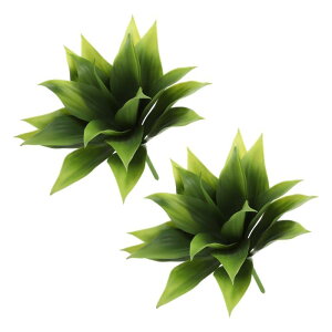 lHA tFCNZ`[vg 傫ȐlHA AȂ {̂悤ȎG DIY z[ EFfBO K[f ItB X O ԏp 35 cm  2