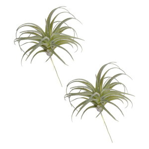 lHA tFCNpCibvOX 傫ȐlHA AȂ {̂悤ȎG DIY z[ EFfBO K[f ItB X O ԏp 13 cm Cg 2