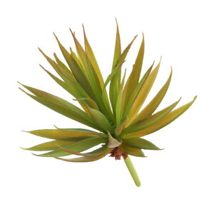 lHA tFCN\[hvg 傫ȐlHA AȂ {̂悤ȎG DIY z[ EFfBO K[f ItB X O ԏp 19 cm Cg 1