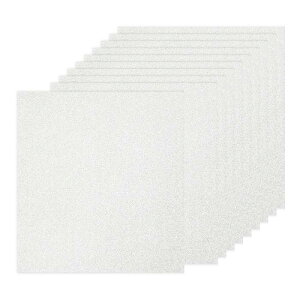 PATIKIL 10V[g Vo[Ob^[J[hXgbNy[p[ 12 x 12C` 250gsm XNGAv~AXp[N[y[p[NtgJ[hXgbNy[p[ XNbvubNJ[hDIYA[