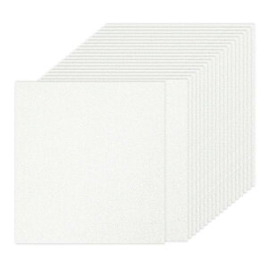 PATIKIL 40 zCgOb^[J[hXgbNy[p[ 12 x 12C` 250gsmXNGAv~AXp[N[y[p[NtgJ[hXgbNy[p[ XNbvubNJ[hDIYA[gv