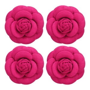 PATIKIL JAt@ubNs 4ԃu[` plHԃu[` EFfBOp[eB[ANZT[΃Mtg [Ybh