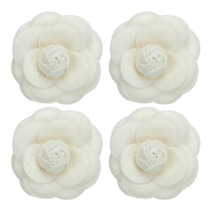 PATIKIL JAt@ubNs 4ԃu[`plHԃu[`pzEFfBOp[eB[ANZT[΃Mtg x[W