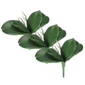 PATIKIL ̗t 22 cm 3 ȐlHtFCNӒ̗t {̃ebNX^b` ΐA 4̗tƌst ƒp Ԕp 