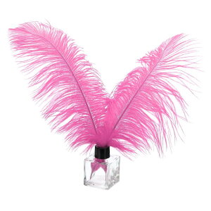 PATIKIL 30�̓V�R�_�`���E�̉H�� �o���N 10-12/ 25-30 cm �傫�ȃ_�`���E�̉H�� �N���t�g �z�[���f�R���[�V���� �E�F�f�B���O�p�[�e�B�[ �ԕr�f�R���[�V�����i���[�Y���b�h�j