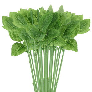 PATIKIL ttԃC[s 50 lHvX`bN ỏԂ̃C[s DIY Ntgu[P t[AWgc[ EFfBOfR[Vp