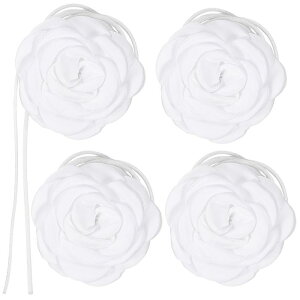 pt[`[J[lbNX 傫ȃỏԕ`[J[ANZT[ ėplbNX p[eB[ p p zCg 4