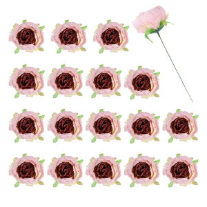 25̉Ȏ tFCN̉ỎԐlHVN̉Ԃ̓̓A^b` z[ItBX̃EFfBOu[Pp[eB[tFXeBofR[Vp̋Ǔs p[vsN