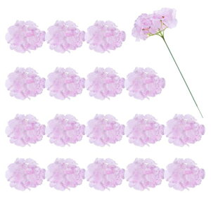 30̃AWTC̐lH ŨAWTC̉Ԃ̐lHVN̉Ԃ̓ z[fR[VItBXEFfBOu[PzeZ^[s[Xp[eB[p̋Ǔs Cgp[v