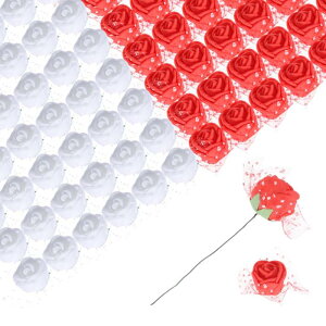 A[gt[ tFCN[Y [Xt DIY ̑ t[ AWgԉ o^Cf[p bhƃzCg 144