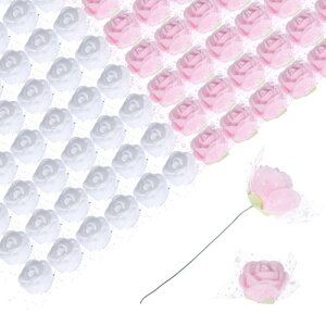 A[gt[ tFCN[Y [Xt DIY ̑ t[ AWgԉ o^Cf[p zCgƃCgsN 144