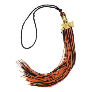 2024Nƃ^bZ 2024N  t_uJ[ƖX^bZ DIYp Ǝp[eB[TLOi ƖXfR[V IW