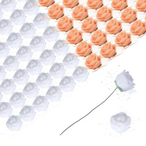 A[gt[ tFCN[Y [Xt DIY ̑ t[ AWgԉ o^Cf[p zCgƃIW 144