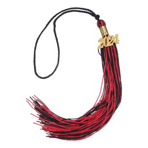 2024Nƃ^bZ 2024N  t_uJ[ƖX^bZ DIYp Ǝ LOi ƖX  bh