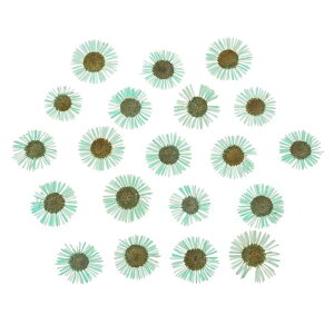 PATIKIL  DIYNtg lCA[g J[h XNb vubLO ΃CLO t[fR[V LhfR[Vp60 Cgu[