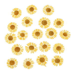 PATIKIL  DIYNtg lCA[g J[h XNb vubLO ΃CLO t[fR[V LhfR[Vp60 IWCG[