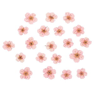 PATIKIL  DIYNtg lCA[g J[h XNb vubLO ΃CLO t[fR[Vp60 CgsN